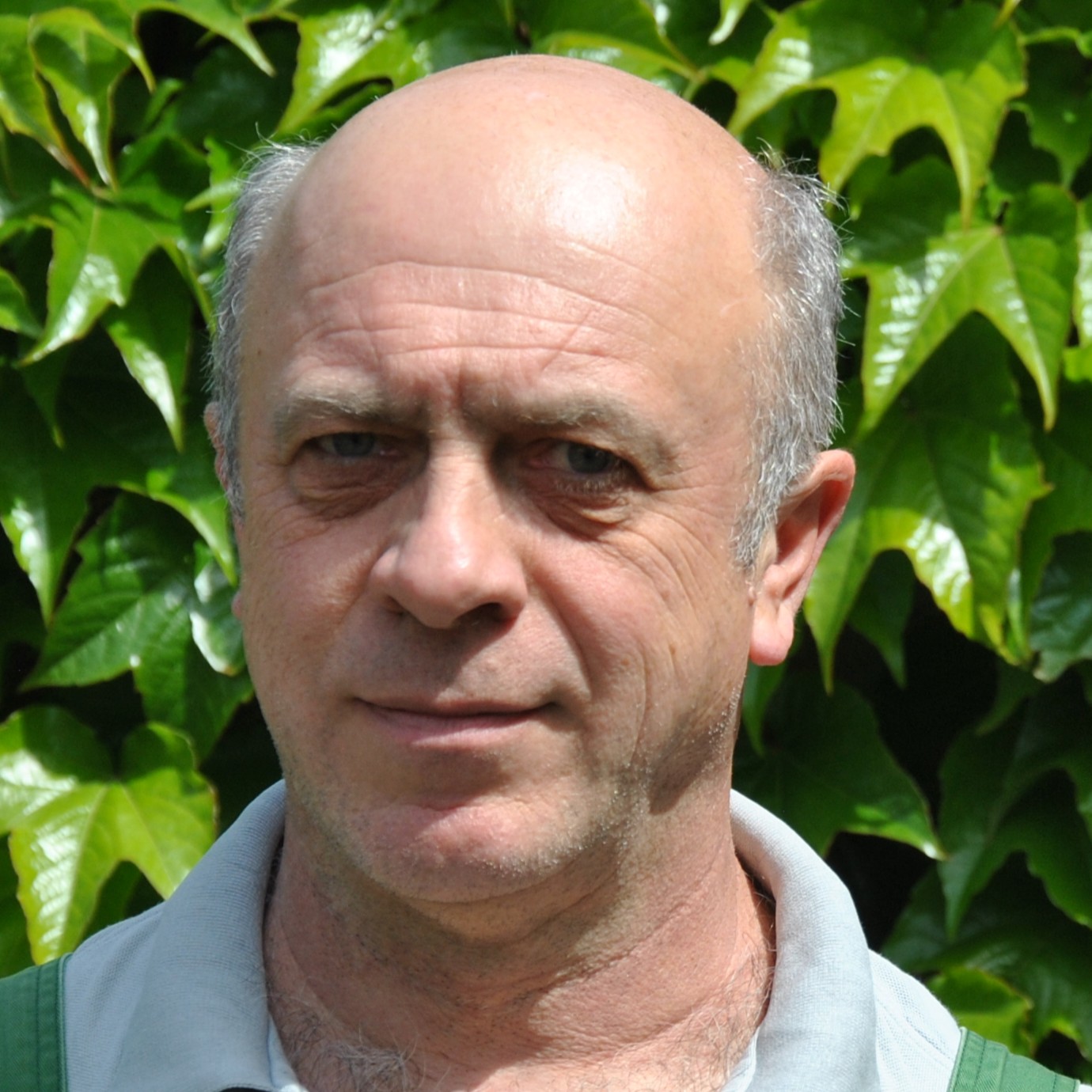 Alexander Malsam